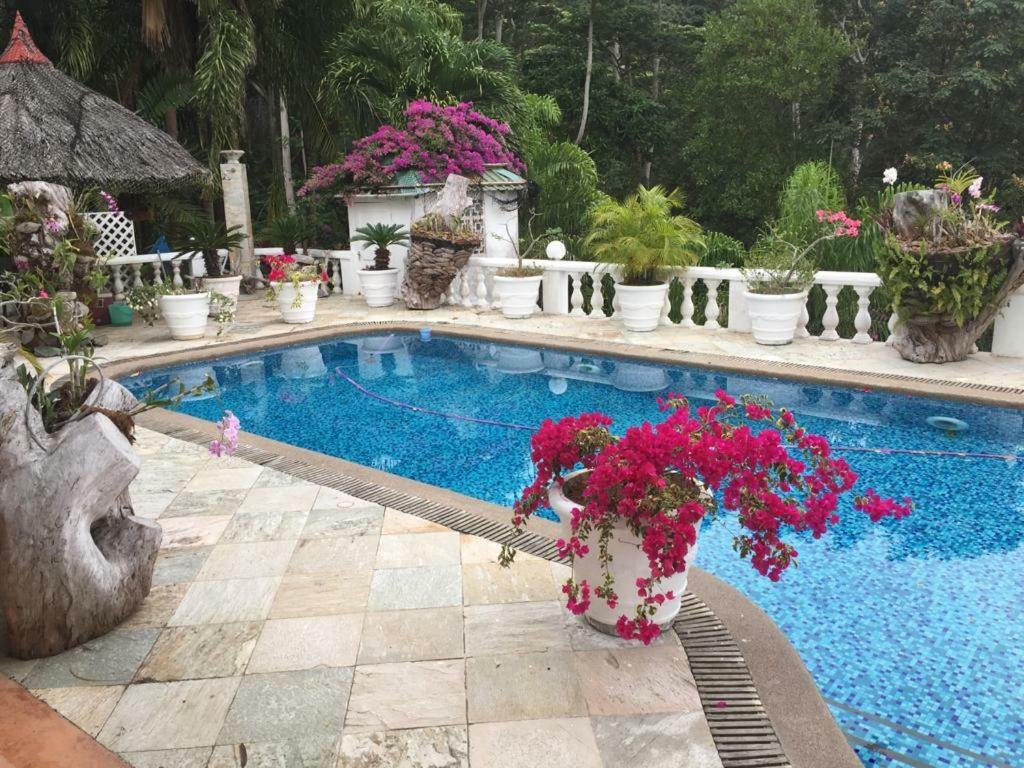 Casa Doro Villa Glacis  エクステリア 写真